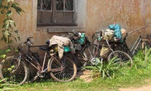 Ngoi Lwakabila Vincent and Banze Mukangala travelled 250 iles by bicycle to attend the conference