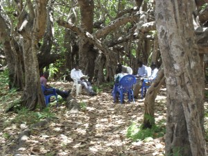 Group in practice under Chilema tree