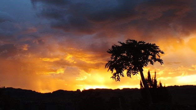 Isalo NP Fuji (408) - cr